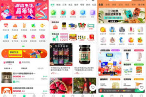 我店模式APP开发案例功能分析缩略图