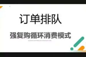 订单排队循环复购代理云仓算法模式app技术需求解析缩略图