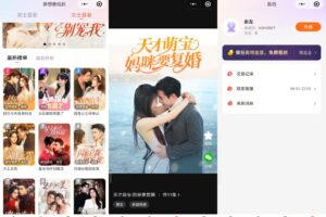 全名剧点短剧APP小程序系统功能规划开发缩略图