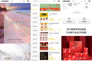 卷轴模式系统开发之app客户端会员功能开发实际案例缩略图