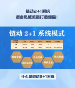 什么是链动2+1模式系统？插图1