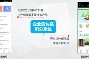 区块链通证系统小程序开发架构分析缩略图