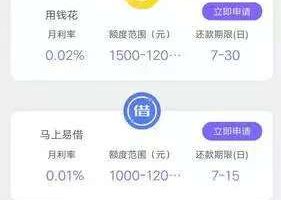 贷超系统APP技术机构功能开发案例分析缩略图